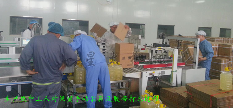 消防粉灌裝生產(chǎn)線，全自動(dòng)粉末灌裝生產(chǎn)線